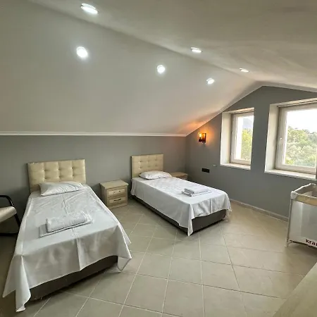 Milena Villa *